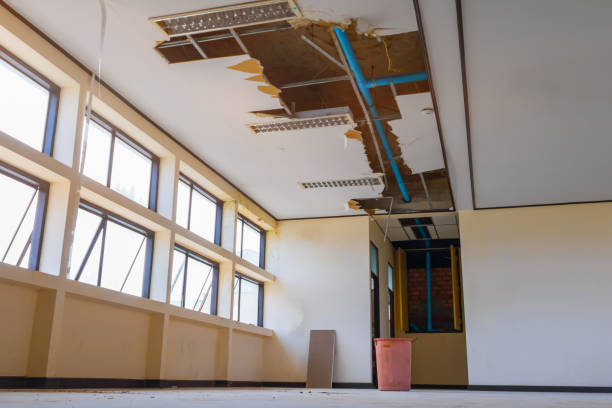 Best Professional water damage repair  in Brookfield, IL