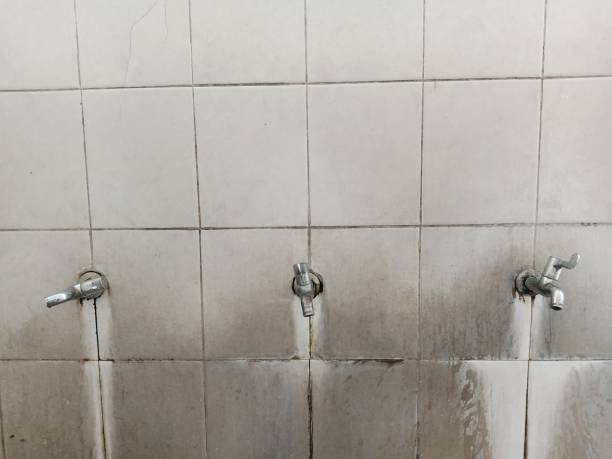 Best Water damage repair service  in Brookfield, IL