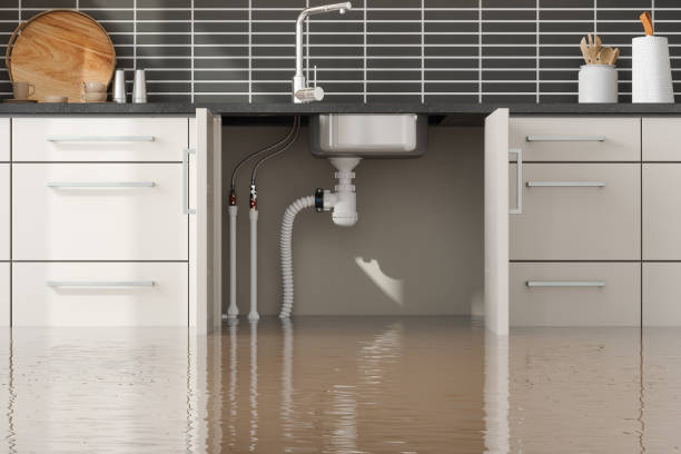 Best Fire Damage Restoration  in Brookfield, IL